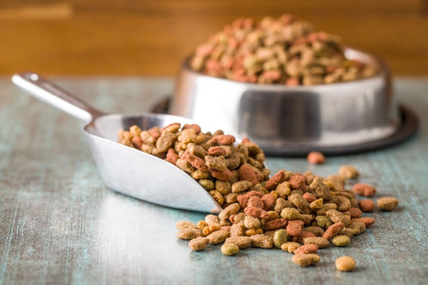 Pet Food